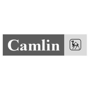 Camlin-logo
